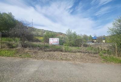 Teren 1,000mp Piatra-Neamt / Zona Fermelor - 5