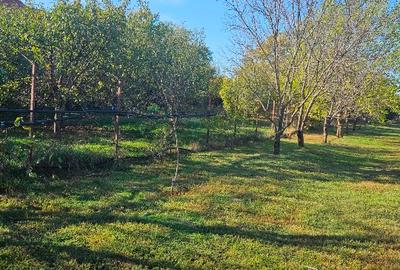 Proprietar Teren intravilan ideal investitie cu iesire la lacul Balotesti - 6