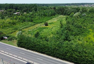 Teren pentru SHOWROOM de vanzare 8000 mp Calea Lugojului Timisoara! - 1