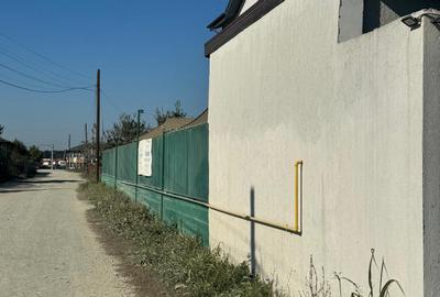 Teren Interesant Mogosoaia - 3