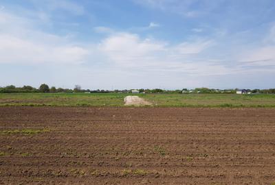 De vanzare loturi teren in Dascalu!! - 1