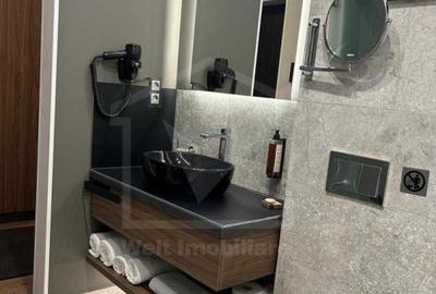 Apartament 1 camera de inchiriat Zorilor - 8