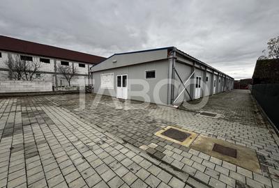 Hala productie de inchiriat 531 mp cu teren 1103 mp Cristian Sibiu - 1
