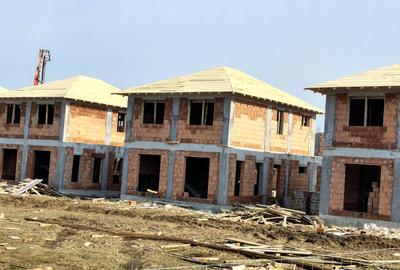 Vile individuale padurea Rosu - 13