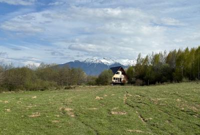 Teren intravilan 500 mp sau 1000 mp în Bran –Tohanita cu parau langa - 7