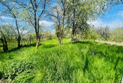 | Teren de vanzare | Autorizatie de constructie | Turda | - 1