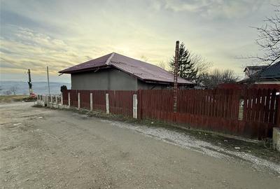 Secuieni - 17 km de Bacau - spatiu comercial - 4