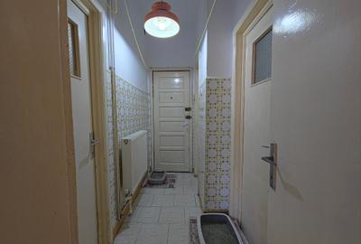 Faleza Nord casa P+1+M tip duplex - 10