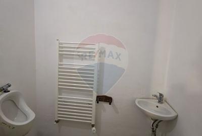 Cabană/Pensiune exclusivistă în Rânca - 13