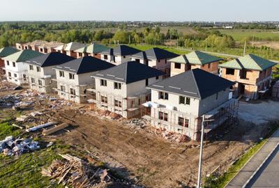 Vile individuale padurea Rosu - 2