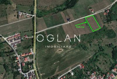 Teren Intravilan Intrare Cisnadie 2325 mp deschidere 25 ml - 2