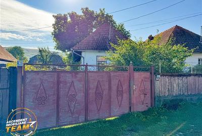 FILM! 3.000 mp teren intravilan cu proprietate traditionala de poveste,Zagon,Cov - 17