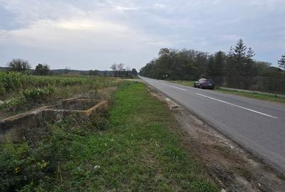 LIVADA  DE VANZARE FOCSANI-DUMBRAVITA  1,8  HA - 35