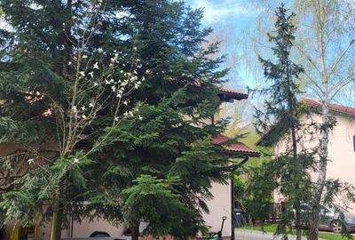 Resedinta cu Padure Privata, Paradisul Verde, teren 1800mp, gradina matura - 4