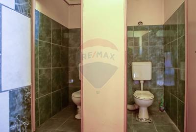 Casă / Vilă cu 4 camere de vânzare - 8