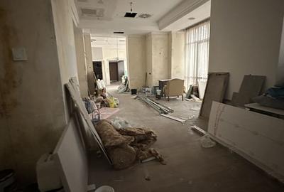 Calea Victoriei 500 mp open space terasa - 3