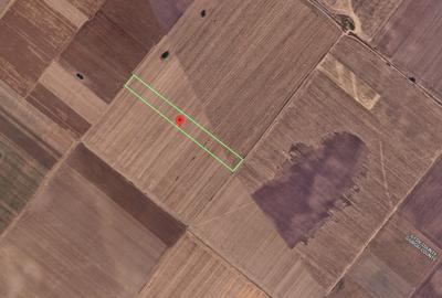 Teren agricol extravilan de 6304 mp, în Berceni