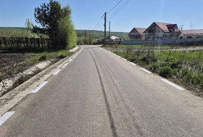 Teren intravilan Moara Bulai 51 ari - 5