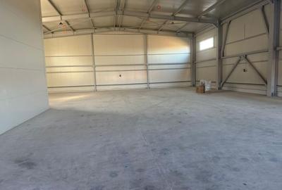 Hala industriala de vanzare 500 mp , Soseaua de centru Chitila - 3