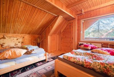 Cabane cu 10 camere Arieseni - 17