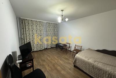 Garsonieră de vânzare | Valea Argesului | Ideală Investiție - 3