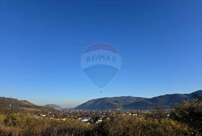 Teren 6,874mp Alexandru cel Bun / Strada plopusor - 8