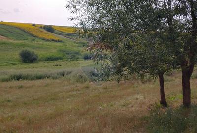 Teren parțial intravilan-300000mp Stroiești-Trei Movile, Suceava - 24