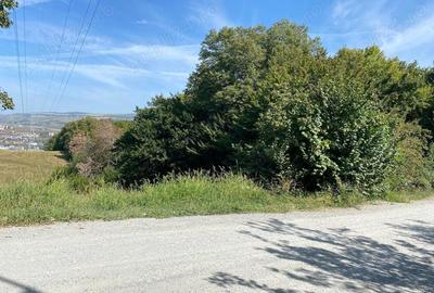 OPORTUNITATE UNICA, Teren inravilan strada Uliului 17234 mp - 3