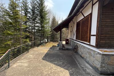 CABANA SINAIA - 138MP - SINAIA - COMISION 0% - 7