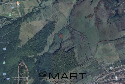 Teren extravilan agricol + fanata 21000mp Cisnadie - 2