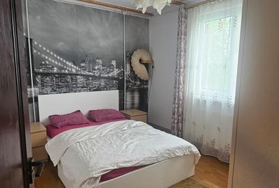 Hala industriala si apartament Tunari - Otopeni - 3