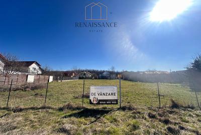 Dumbravita Teren Intravilan 1466mp Front 29m | Langa Padure - 2