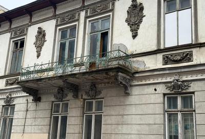 VANZARE CASE VILE GRADINA ICOANEI - 14