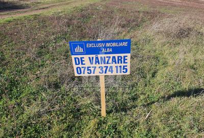 Teren intravilan | 1000 mp | 18 ml deschidere | Alba-Micesti - 1