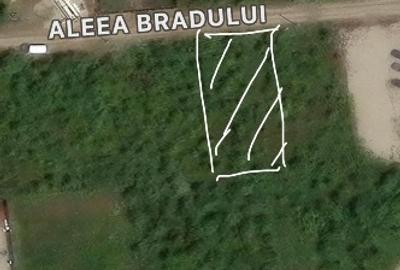 📍 Teren intravilan Premium – 538 mp | Aleea Bradului 59, Smeura – Moșoaia - 5