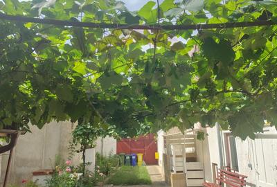 Casă individuala cu vedere catre muntii Postavaru de inchiriat - 9