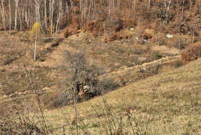 Teren de vânzare în sat Măgura/ Brasov– loc pentru familie, liniște și suflet - 17