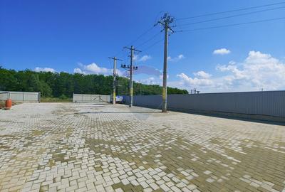 Depozit frigorific de 216 mp cu 4 celule, Șcheia, Suceava - 15