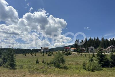 Cabana spatioasa la 5 km de Partia Sureanu complet utilata - 24