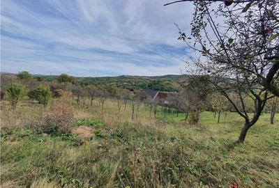 Casă Tradițională Săsească ?n loc.Aciliu cu 2974mp tere - 22