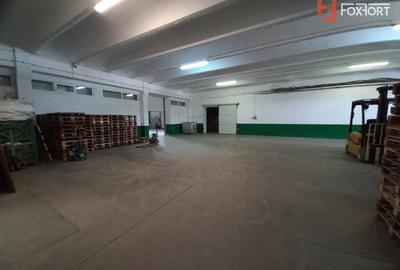 Hala industriala 1.411 mp, teren 2.068 mp - Acces TIR, Freidorf - 10