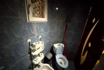 Casa individuala Chitila langa Lidl cu teren de 500mp! - 15