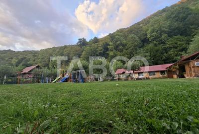 Spatiu de vanzare in Valea Macesului judel Valcea iesire la Lotru - 46