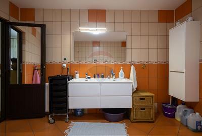 Casa spatioasa de vanzare - 16