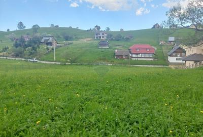 Teren 4,245mp Sirnea / Strada Principala - 3
