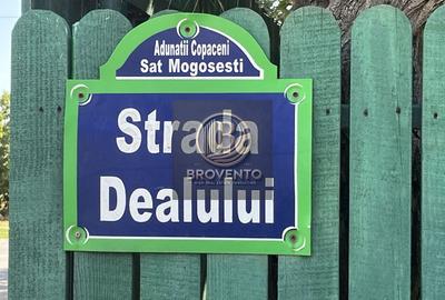 Teren Adunatii Copaceni-Strada Dealului - 5
