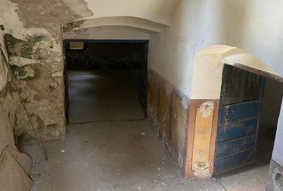 Conac nobiliar de secol XIX cu 8 camere în Maciova - 34