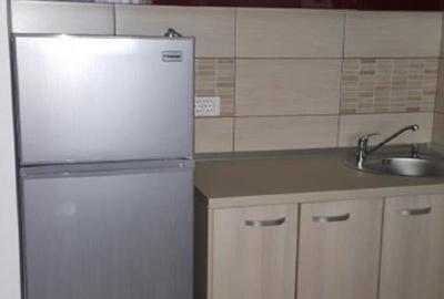 Inchiriere apartament zona Universitate, campus - 8