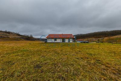 COMISION 0! Casa ULTRAFINISATA - 29