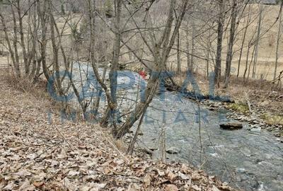 Cabana la munte Rucar / Satic - 24